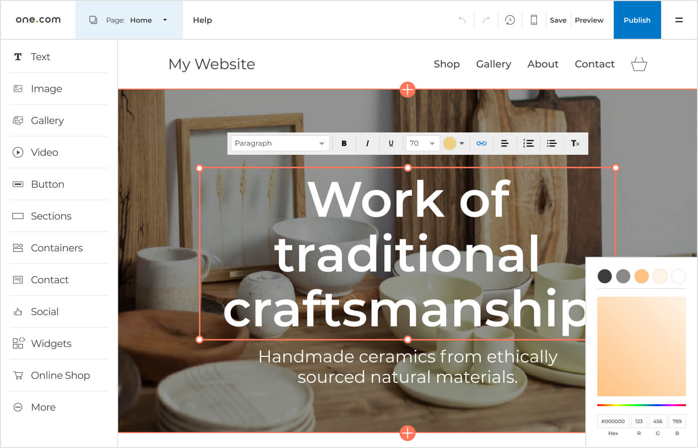 Professional website design Build