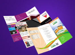Brochures & Catalogs